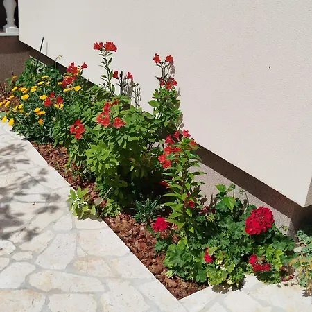 Juric Apartman Privlaka