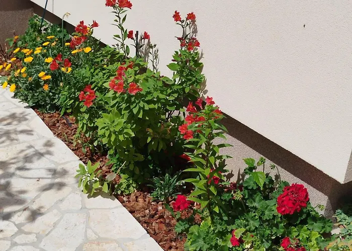 Juric Apartmán Privlaka (Zadar)